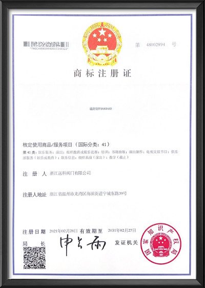 商標注冊證（9）