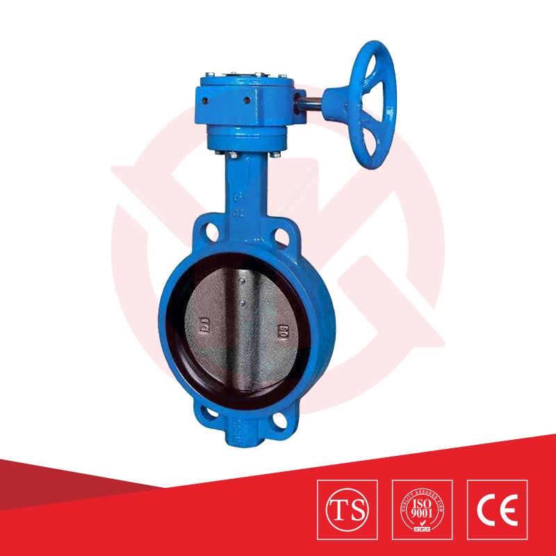 軟密封對夾蝶閥